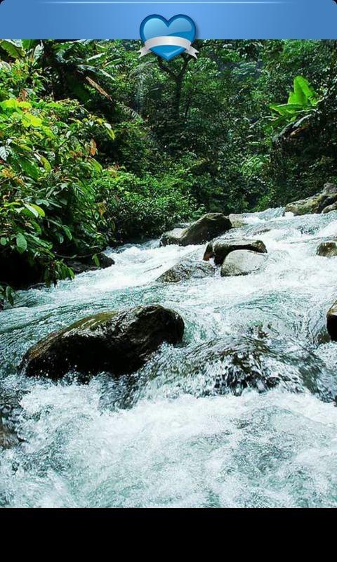 马棕榈油周二摊贩,因严重降雨担忧和需求强劲